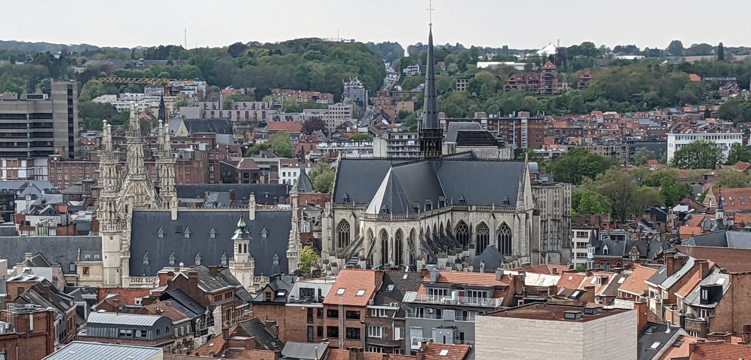 Skyline of Leuven, Belgium with churches, houses and trees